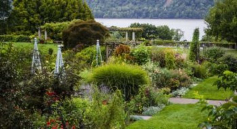 WH summer garden