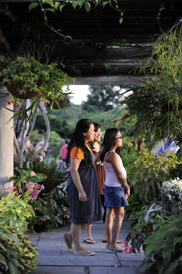 Summer evenings credit joshua bright 1