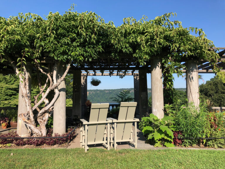 Pergola summer 07 29 20